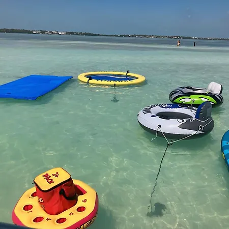 Snorkel In Islamorada'S Clear Blue Waters